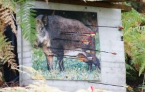 tir nature 2008