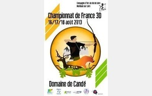 Didier au Championnat de France 3D