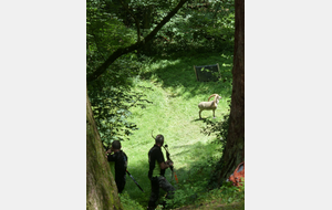 CONCOURS 3D Dimanche 7 juillet 2024