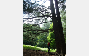 Concours Campagne du 8 juin : Résultats