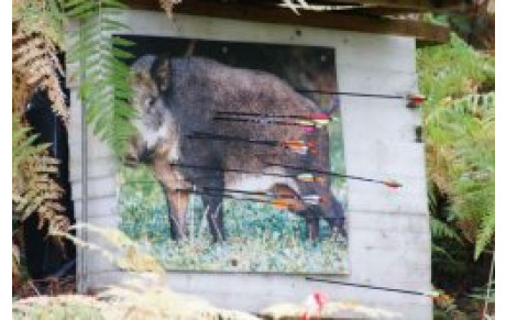 tir nature 2008